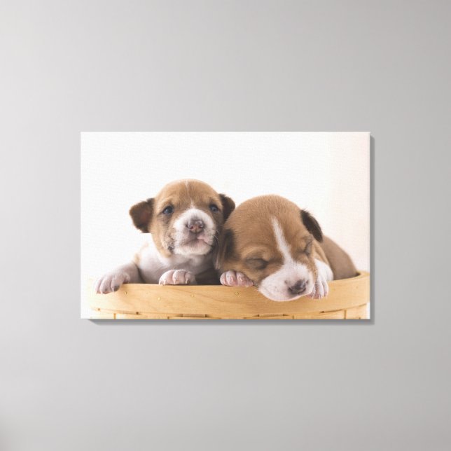 Japan 5 canvas print (Front)