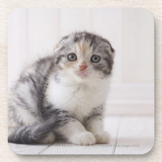 Japan 5 coaster (Front)