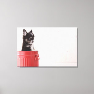 Japan 7 canvas print