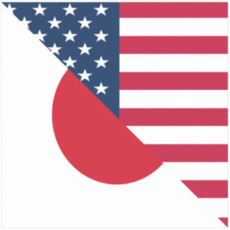 Japan America Flag |Half Japanese USA Flag