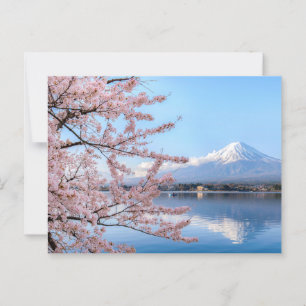 Japan and Cherry Blossoms Postcard