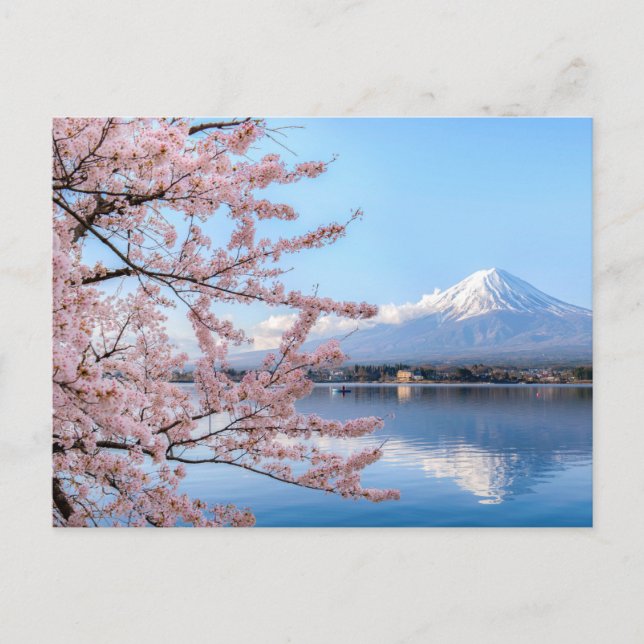 Japan and Cherry Blossoms Postcard (Front)