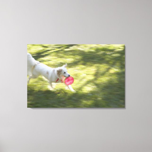 Japan Canvas Print (Front)