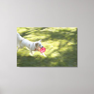 Japan Canvas Print