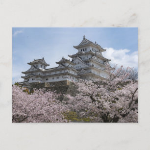 Japan Castle Postcard