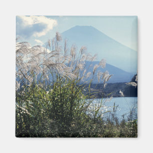 Japan, Honshu, Yamanashi Pref., Fuji-Hakone-Izu Magnet