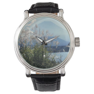 Japan, Honshu, Yamanashi Pref., Fuji-Hakone-Izu Watch