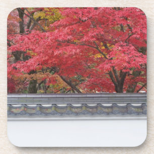 Japan, Kyoto, Autumn Colour at Eikando Temple Coaster