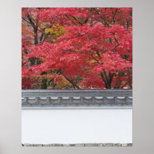 Japan, Kyoto, Autumn Colour at Eikando Temple Poster