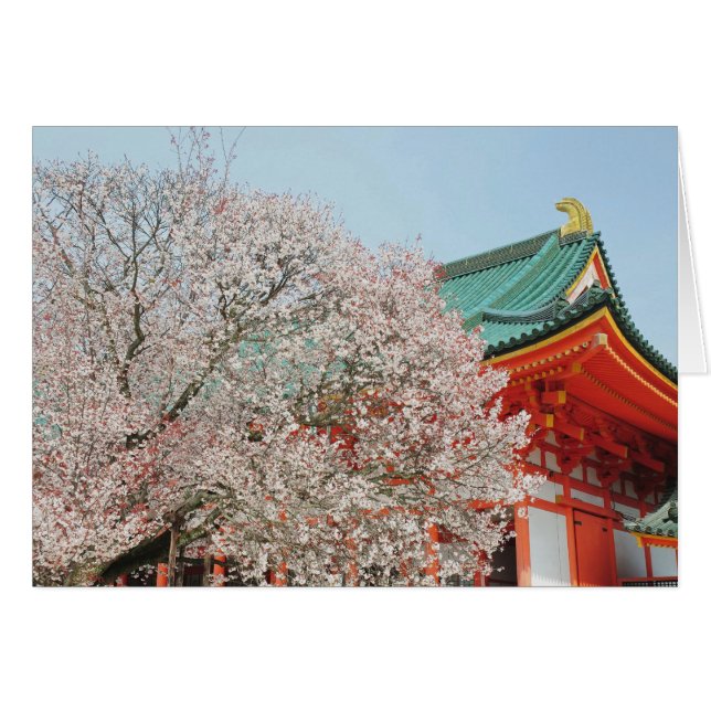 Japan, Kyoto. Cherry blossom of Shinto (Front Horizontal)