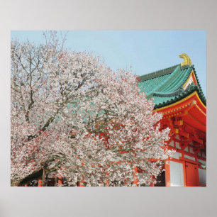 Japan, Kyoto. Cherry blossom of Shinto Poster