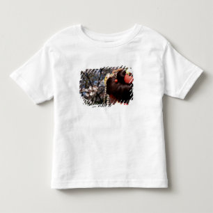 Japan, Kyoto. Rear view close-up of geisha's Toddler T-Shirt