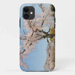 Japan, Kyoto. Weeping cherry tree under blue sky Case-Mate iPhone Case