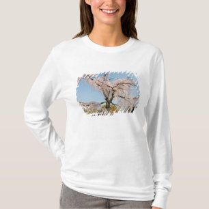 Japan, Kyoto. Weeping cherry tree under blue sky T-Shirt