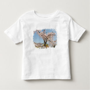 Japan, Kyoto. Weeping cherry tree under blue sky Toddler T-Shirt