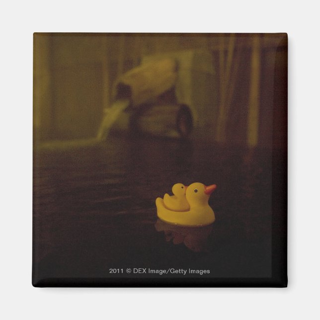 Japan Magnet (Front)