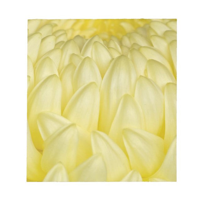 Japan, Mie, Ise Shrine, Chrysanthemum Notepad (Front)