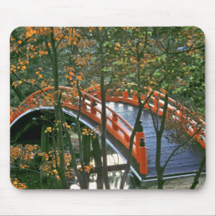 Japan, Nara Pref., Nara. The Royal Bridge glows Mouse Pad