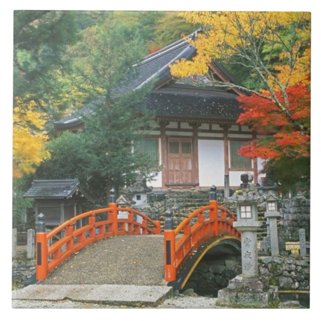 Japan, Nara, Ryuzenji Temple Tile (Front)