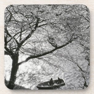 Japan, Tokyo. Cherry blossoms in the Imperial Coaster