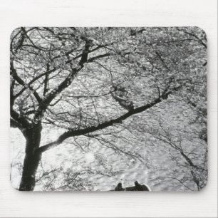 Japan, Tokyo. Cherry blossoms in the Imperial Mouse Pad