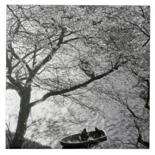 Japan, Tokyo. Cherry blossoms in the Imperial Tile