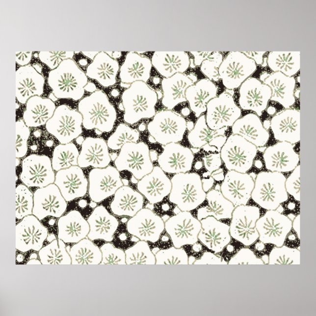 Japan White Flower floral garden Poster (Front)