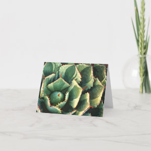 Japanese agave notecard