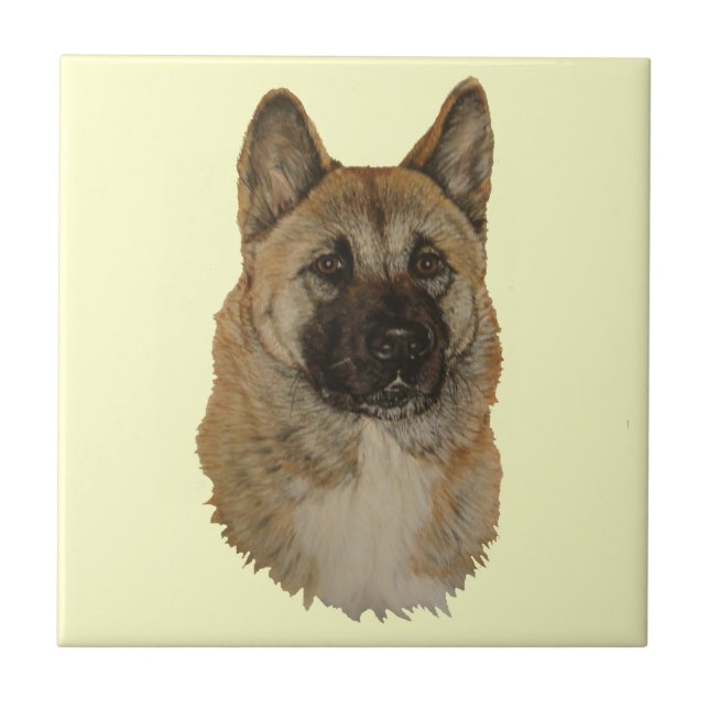 Japanese/American akita dog portrait art tile (Front)
