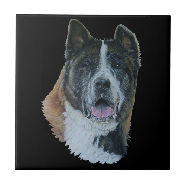 Japanese/American akita dog portrait black tile (Front)