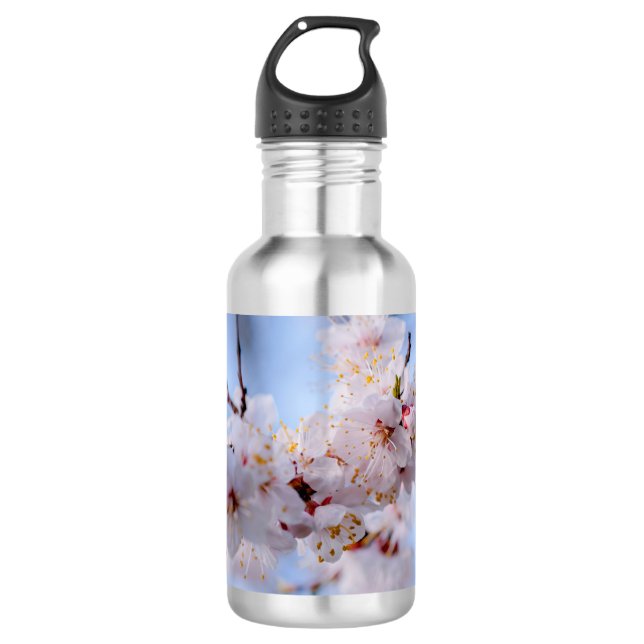 Japanese Apricot Blossom 532 Ml Water Bottle (Front)