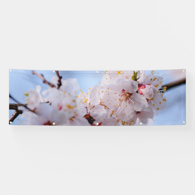 Japanese Apricot Blossom Banner (Horizontal)