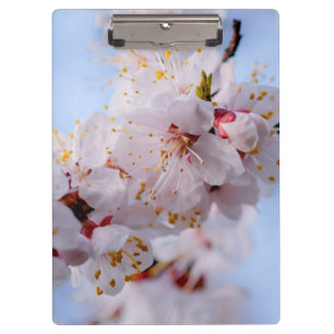 Japanese Apricot Blossom Clipboard
