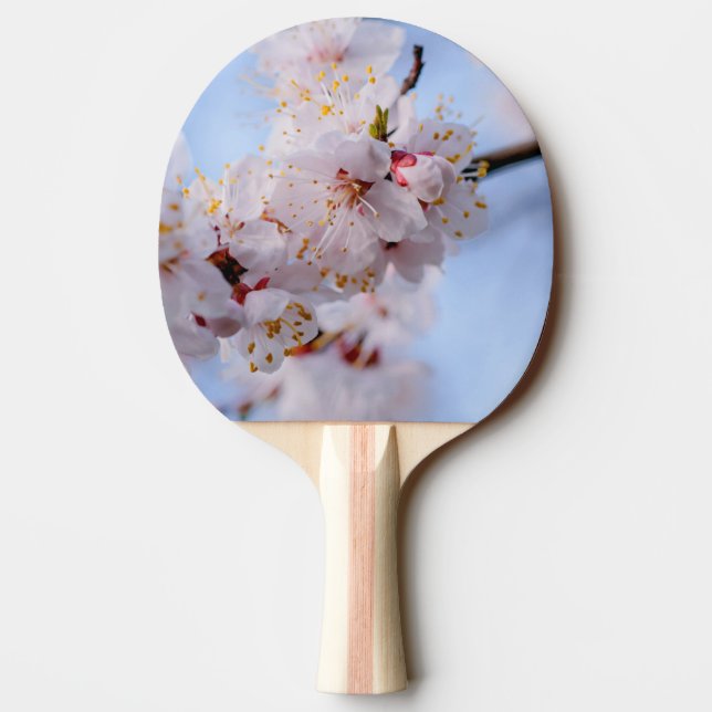 Japanese Apricot Blossom Ping Pong Paddle (Back)