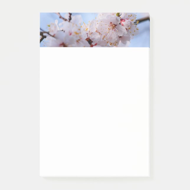 Japanese Apricot Blossom Post-it Notes (Front)