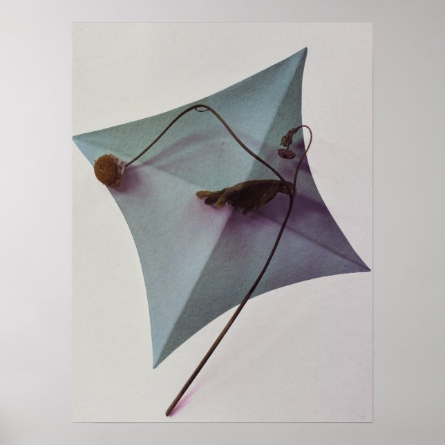 Japanese Art Poster (Front)