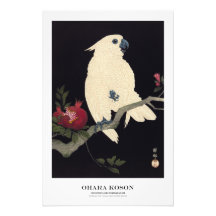 Japanese Art Print - Ohara Koson - Cockatoo