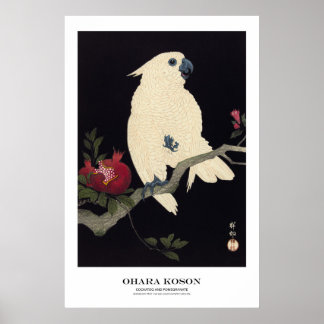 Japanese Art Print - Ohara Koson - Cockatoo