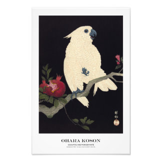 Japanese Art Print - Ohara Koson - Cockatoo