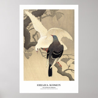 Japanese Art Print - Ohara Koson - Doves