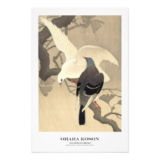 Japanese Art Print - Ohara Koson - Doves
