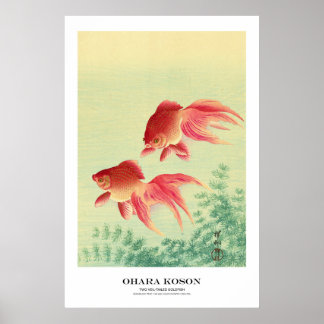 Japanese Art Print - Ohara Koson - Goldfish