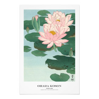 Japanese Art Print - Ohara Koson - Water Lilies