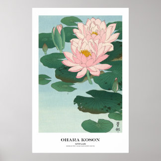 Japanese Art Print - Ohara Koson - Water Lilies