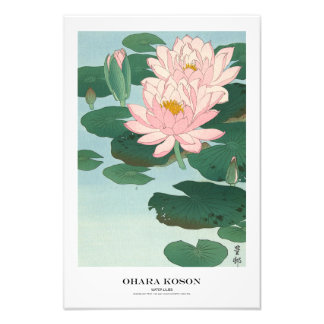 Japanese Art Print - Ohara Koson - Water Lilies