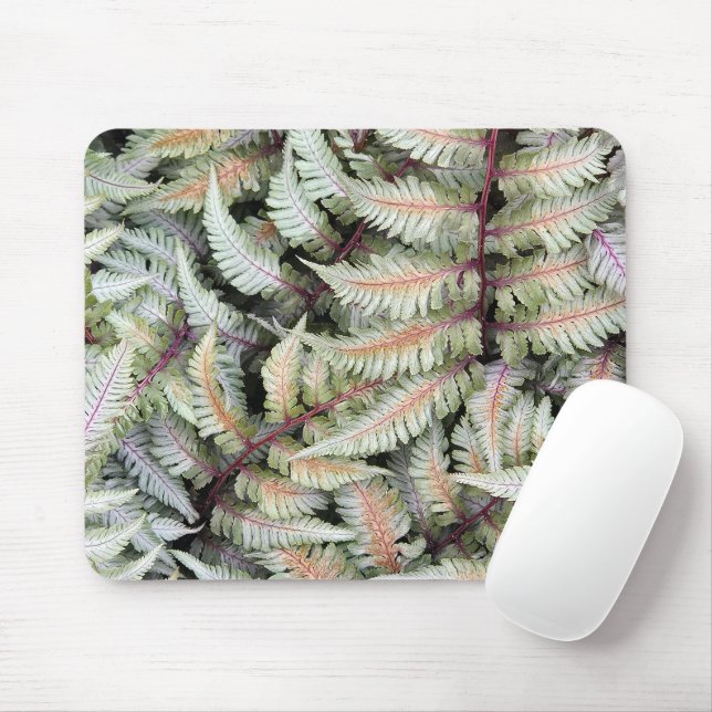Japanese Athyrium Pictum Fern Fronds Mouse Pad (With Mouse)