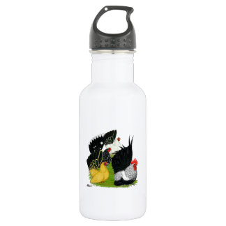 Japanese Bantam Quartet 532 Ml Water Bottle