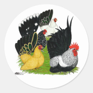 Japanese Bantam Quartet Classic Round Sticker