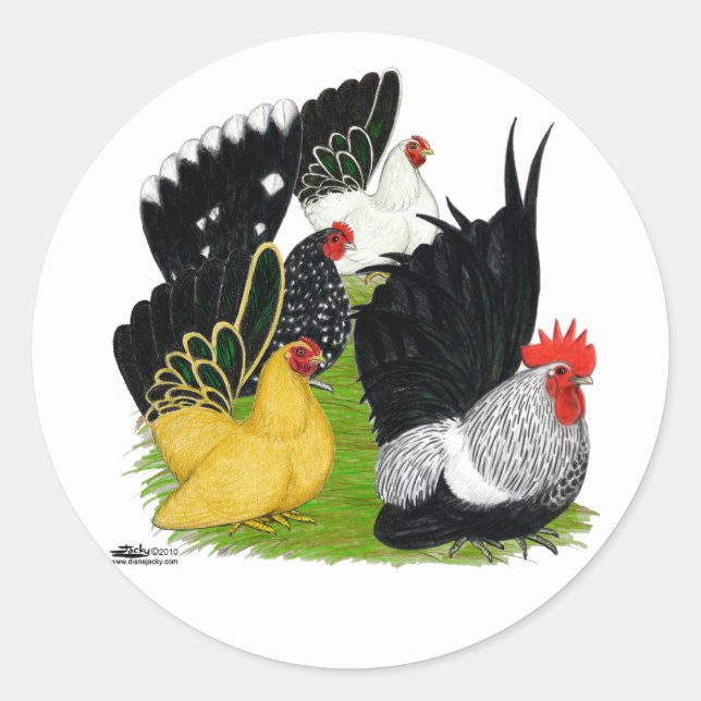 Japanese Bantam Quartet Classic Round Sticker (Front)