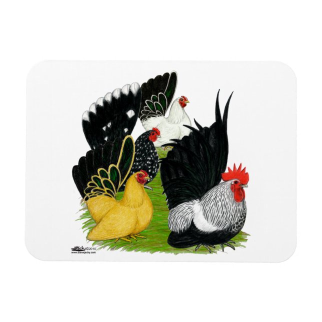Japanese Bantam Quartet Magnet (Horizontal)